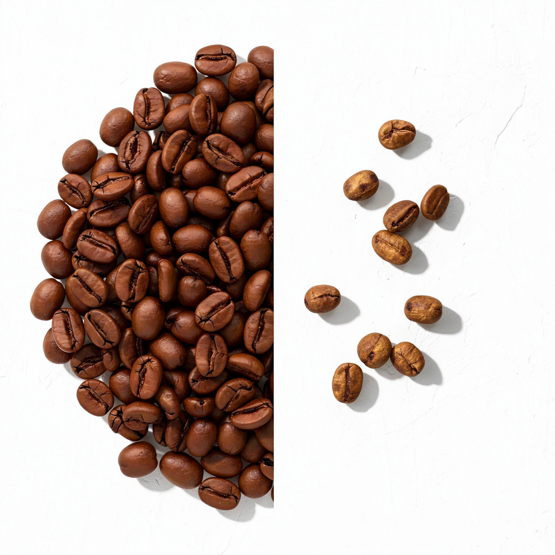 ¿El café de especialidad se obsesionó demasiado con los quakers?