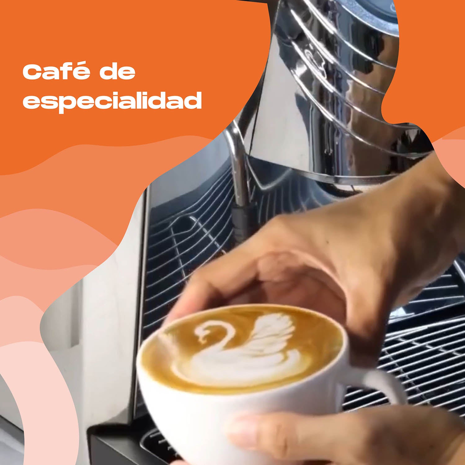 Café de Especialidad
