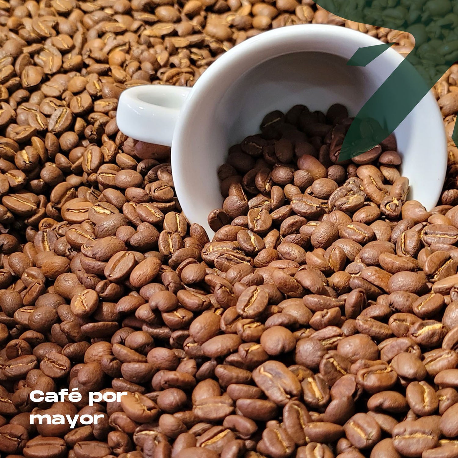 Café al por Mayor