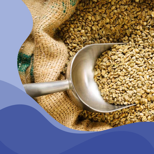 Café Verde Al Por Mayor