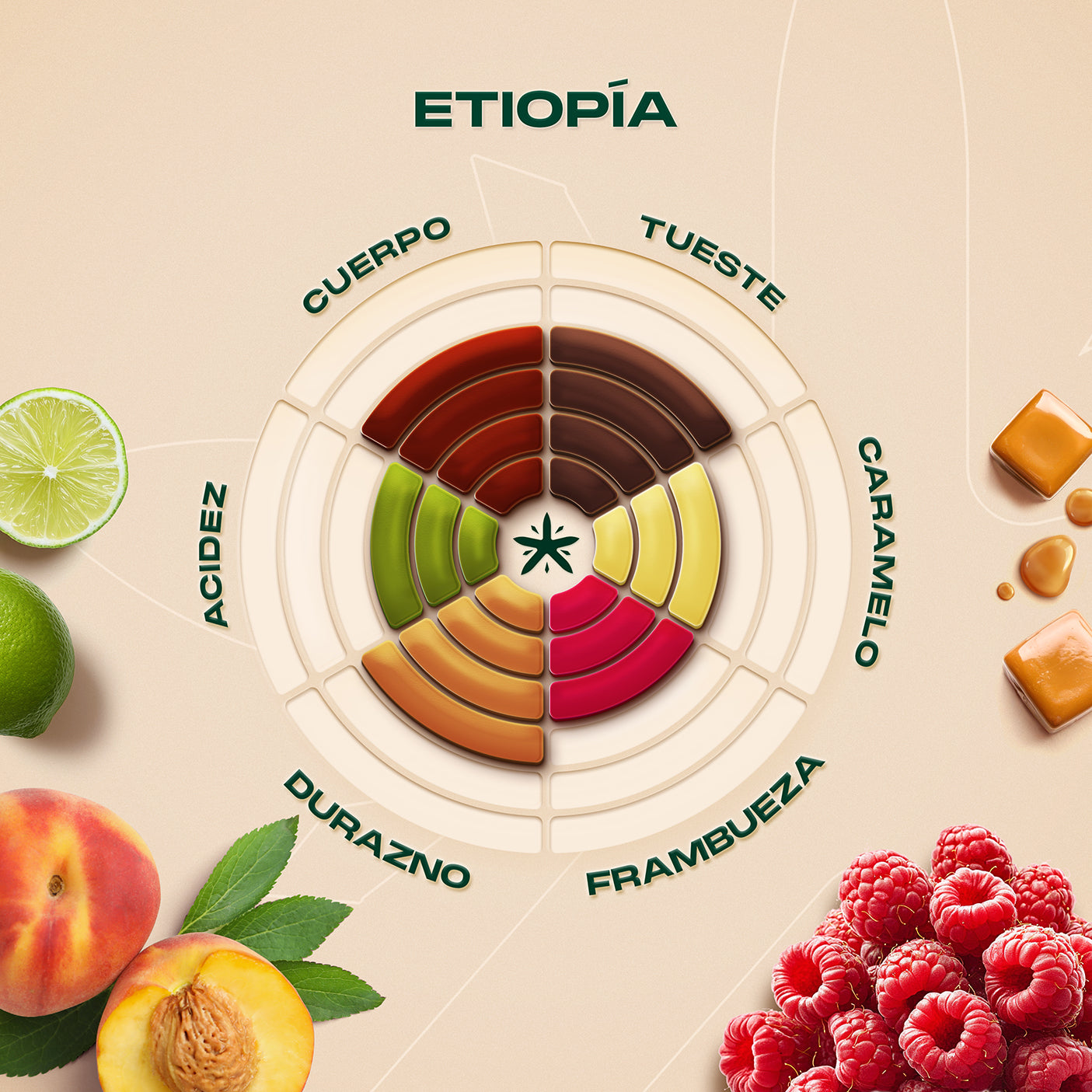 Café Etiopía Tostado Al Por Mayor