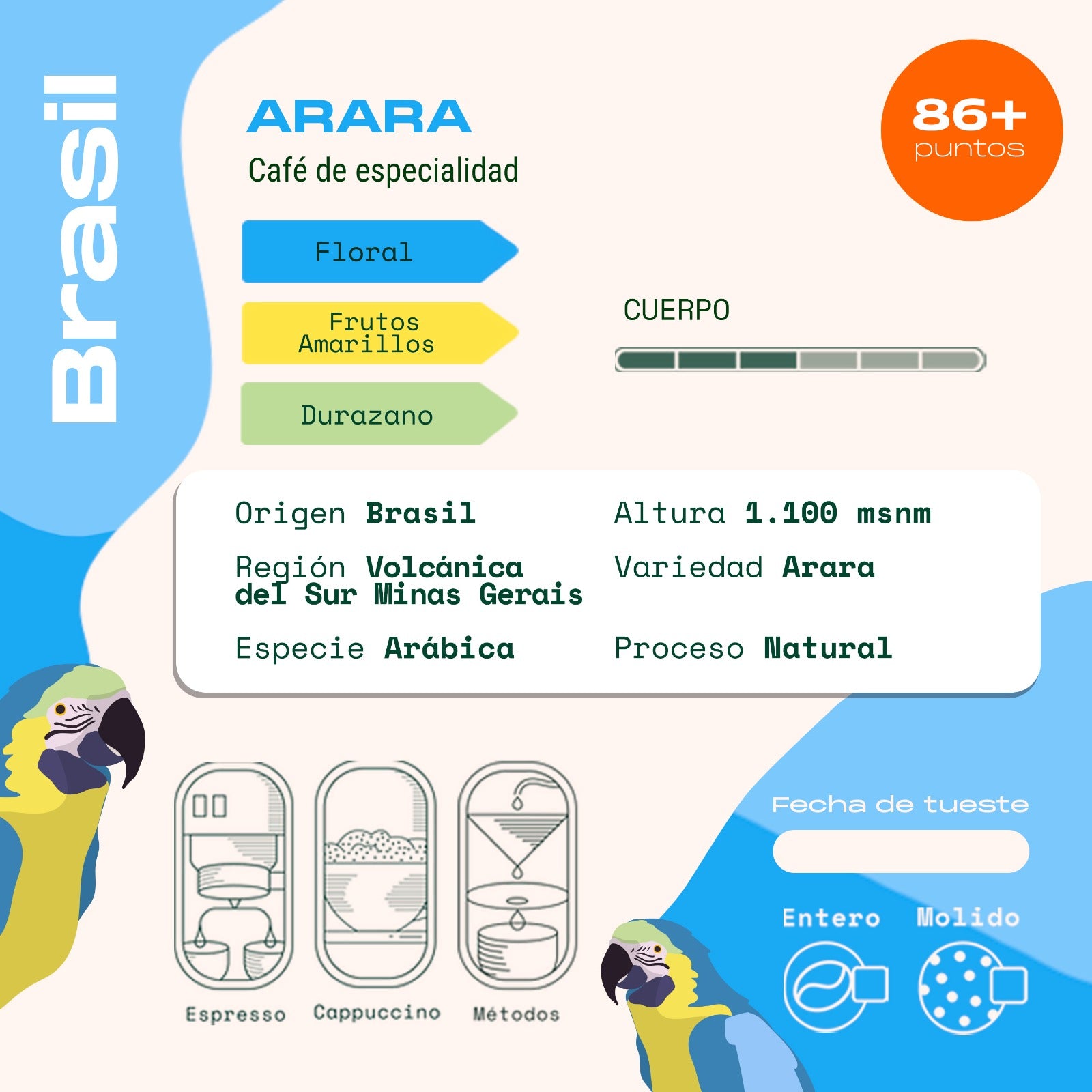 Brasil - Arara - Natural