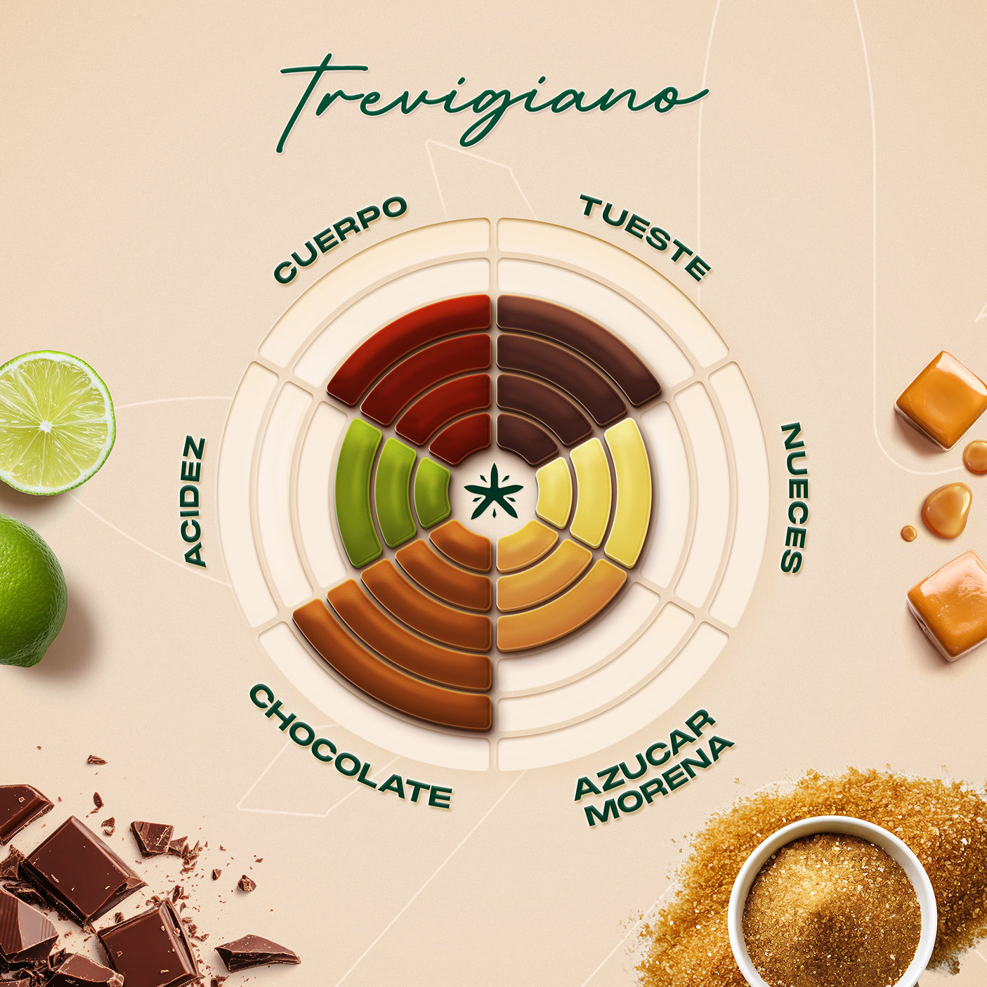 Café Trevigiano Tostado Al Por Mayor