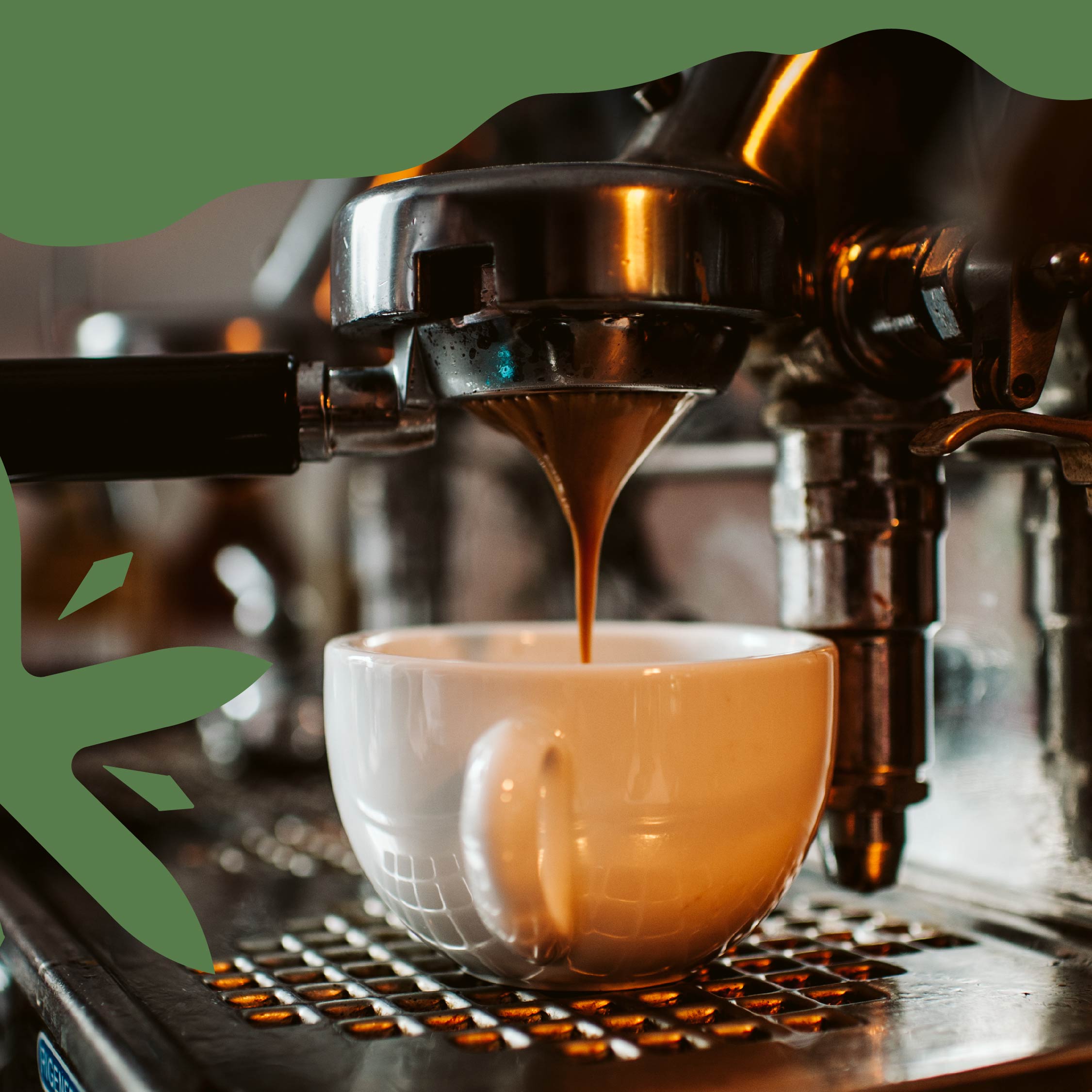 Comprar Cafetera espresso con molinillo profesional Home Bistro