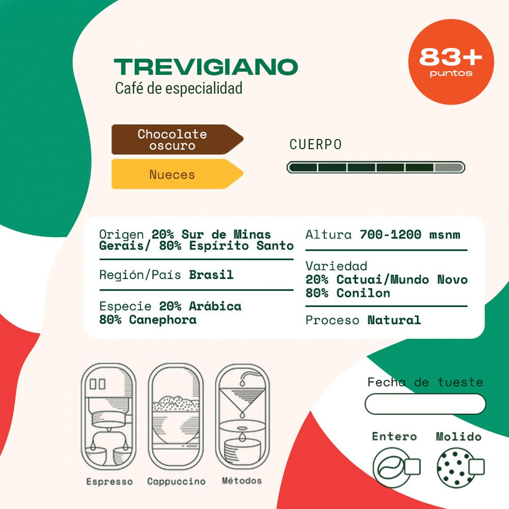 Trevigiano