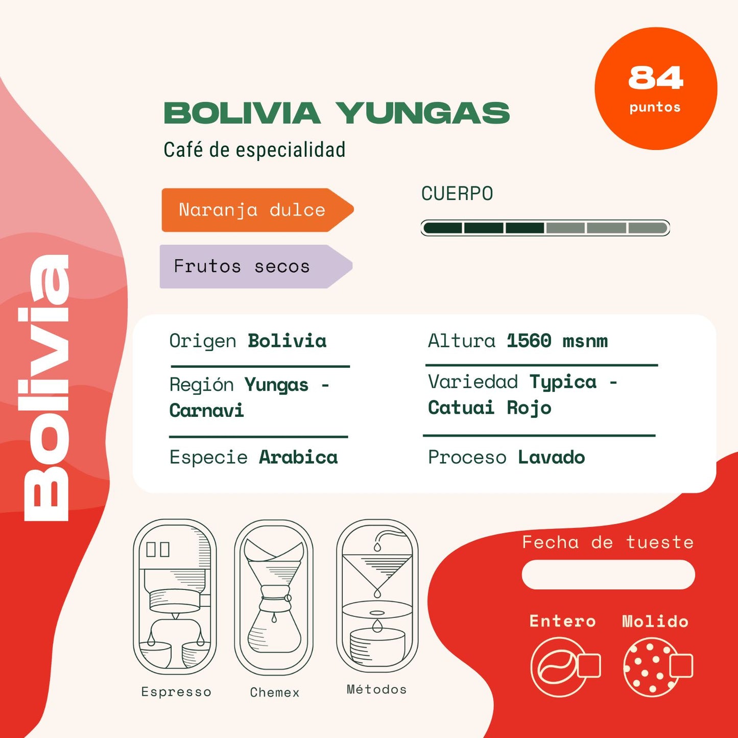 Bolivia -  Yungas