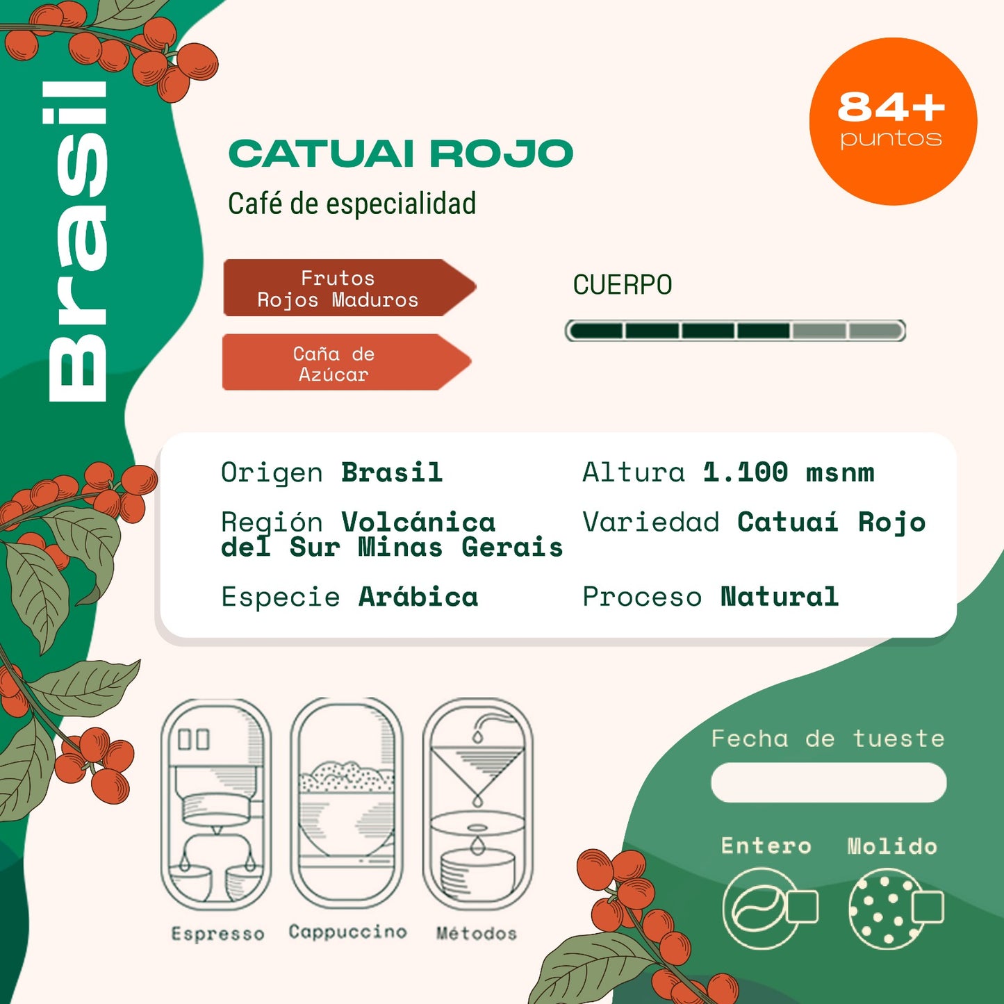 Brasil - Café Catuai Rojo