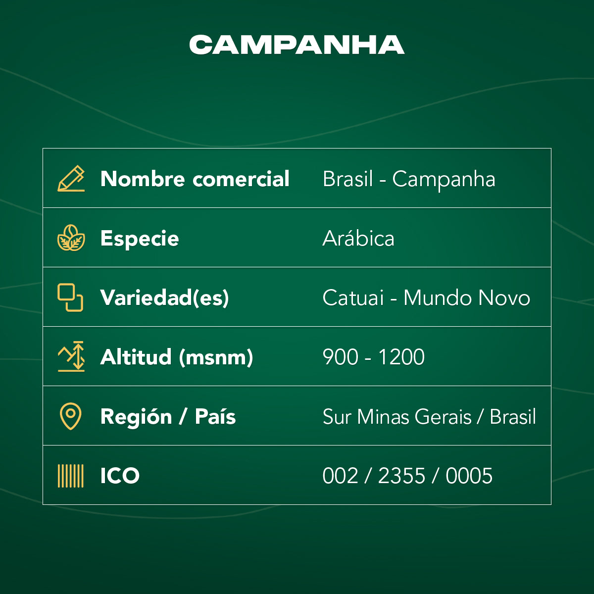 Café Brasil Campanha