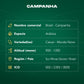 Café Brasil Campanha