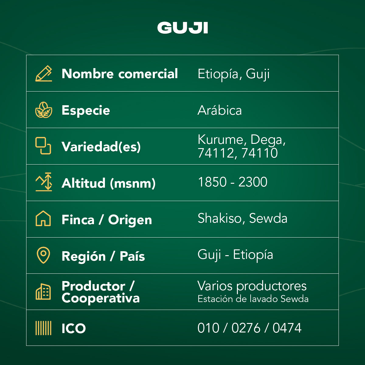 Café Etiopía Guji