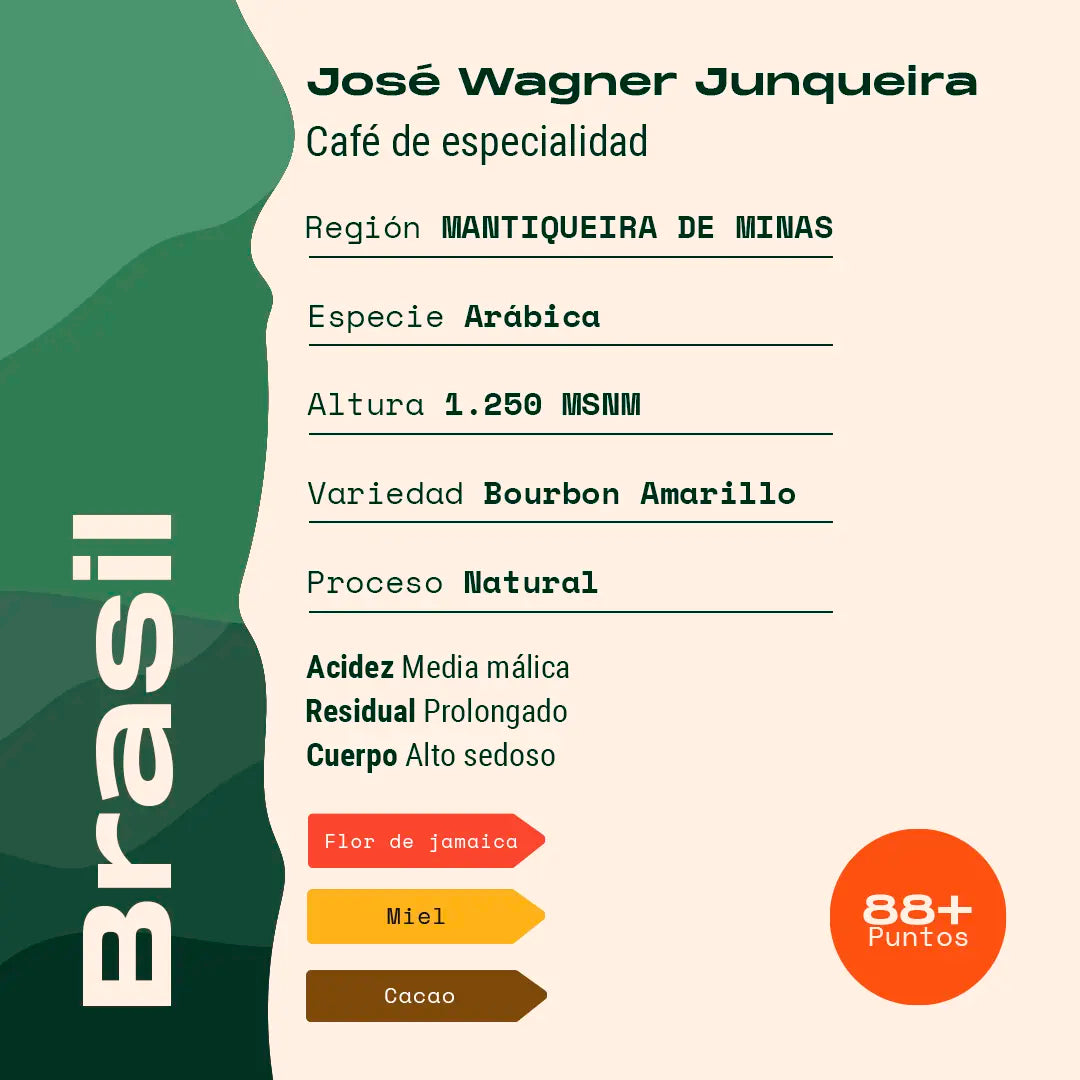 Brasil - José Wagner Natural